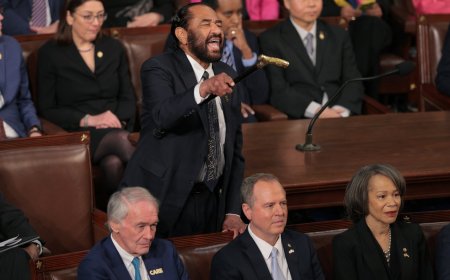 House votes to censure Texas Democrat Al Green for protest during Trump address