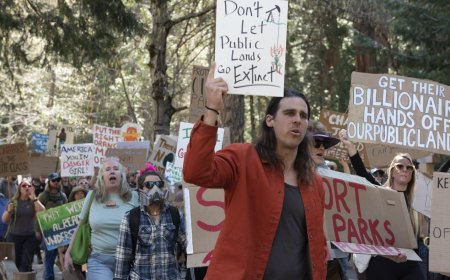 How does the U.S. federal workforce compare with those in other countries?