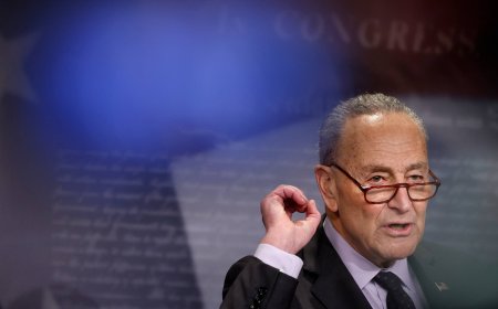 Chuck Schumer Should Resign to Spend More Time With His Imaginary Friends