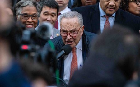 Chuck Schumer’s Flight-Over-Fight Instinct Is Leaving Democrats in the Lurch